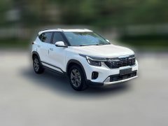 2024 Kia Seltos 2023 1.5L AT CVTLuxury #2