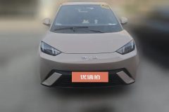 2024 BYD Seagull 2025 305km vitalityEdition #2