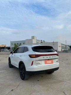 2021 Haval H6 2021 1.5T AT No.3generation2WDMax #8
