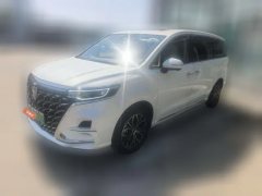 2025 Roewe iMAX8 EV 2025 1.5T DMH Lu ZunLuxury #1