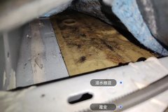 Right Rear Carpet