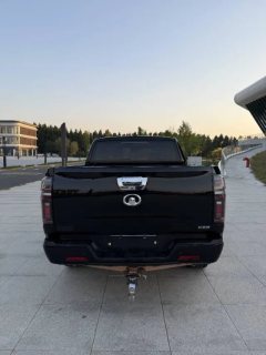 2020 Great Wall Great Wall Pao 2020 2.0TATDiesel2WDComfortGW4D20M #8