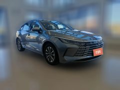 2024 BYD Destroyer 05 2024 DM-i 55KM PilotGlory #4