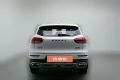 2020 Haval H6 2020 1.5T AT PlatinumChampion #4