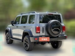 2023 Tank 300 2023 Off-road 2.0T AT conqueror #10