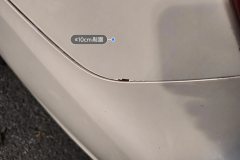 Left Rear Fender