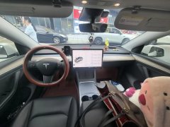 2022 Tesla Model 3 2022 rear wheel driveEdition #6