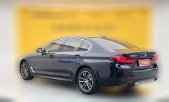 2021 BMW 5 Series 2021 2.0T AT 530LiExclusiveMSport Pkg #8