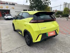 2024 BYD Seagull 2024 Glory 305km vitalityEdition #6