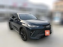 2022 Haval H6S 2022 2.0T AT 2WDSmart runningEdition #3