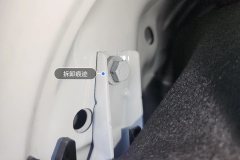 Trunk Lid