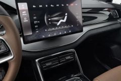2022 BYD Tang PHEV 2021 2.0T AT DM4WDPerformancePremium #16