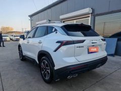 2024 Jetour Dasheng 2025 1.5TD DCT Exclusive #6