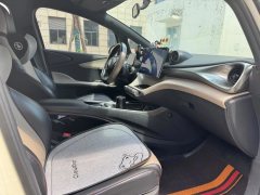 2023 BYD Dolphin 2023 420km freeEdition #7
