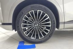 2026 Dongfeng Fengshen Dongfeng Fengshen L8 2025 185KMdreamEdition #6