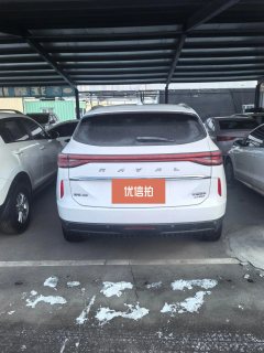 2022 Haval H6 2021 2.0T AT No.3generation4WDMax #8