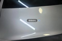 Trunk Lid