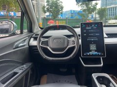 2022 Neta V 2022 tide 300 Lite LFP #8