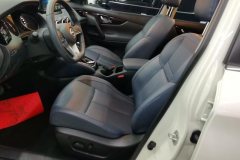 2025 Nissan Qashqai 2025 Facelift honor 2.0L CVT XV+Leading #9