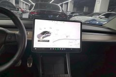 2021 Tesla Model 3 2020 StandardBattery lifeRWDUpgradeEdition #13