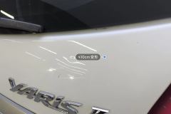 Trunk Lid