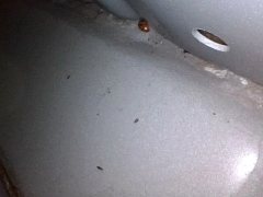 Right Floor Cross Member Inner