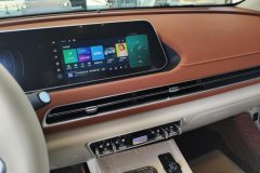 2025 Ora Good Cat 2024 401km Luxury #13