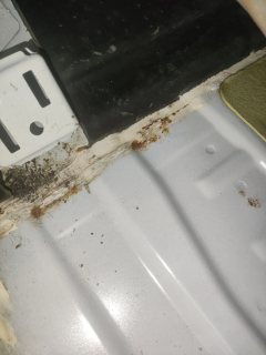 Left Front Floor Sound Seal