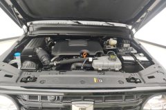 2025 Tank 300 2025 2.0T conqueror #10