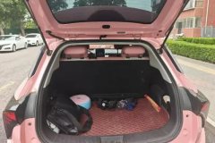 2022 Neta V 2022 AT tide 400 Lite Pink customization #4