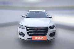 2019 Haval H6 2019 1.5T AT Red LabelChampion #2