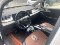 2022 Geometry E Firefly 2022 401KM Exquisite Tiger 4Seat #8