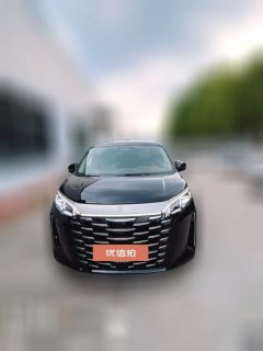 2025 BYD Xia 2025 DM-i 1.5T AT 180km Surpass #2