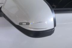 Left Exterior Mirror