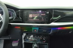2022 Volkswagen Passat 2023 2.0T AT 330TSI starry skyElite #13