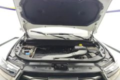 2021 Haval H6 2021 1.5T AT China tideChampion #10