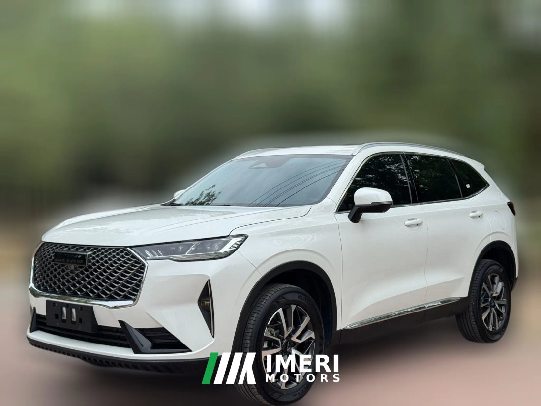 2025 Haval H6 2024 1.5T AT 2WDClassic