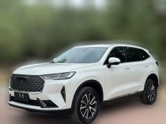2025 Haval H6 2024 1.5T AT 2WDClassic #1