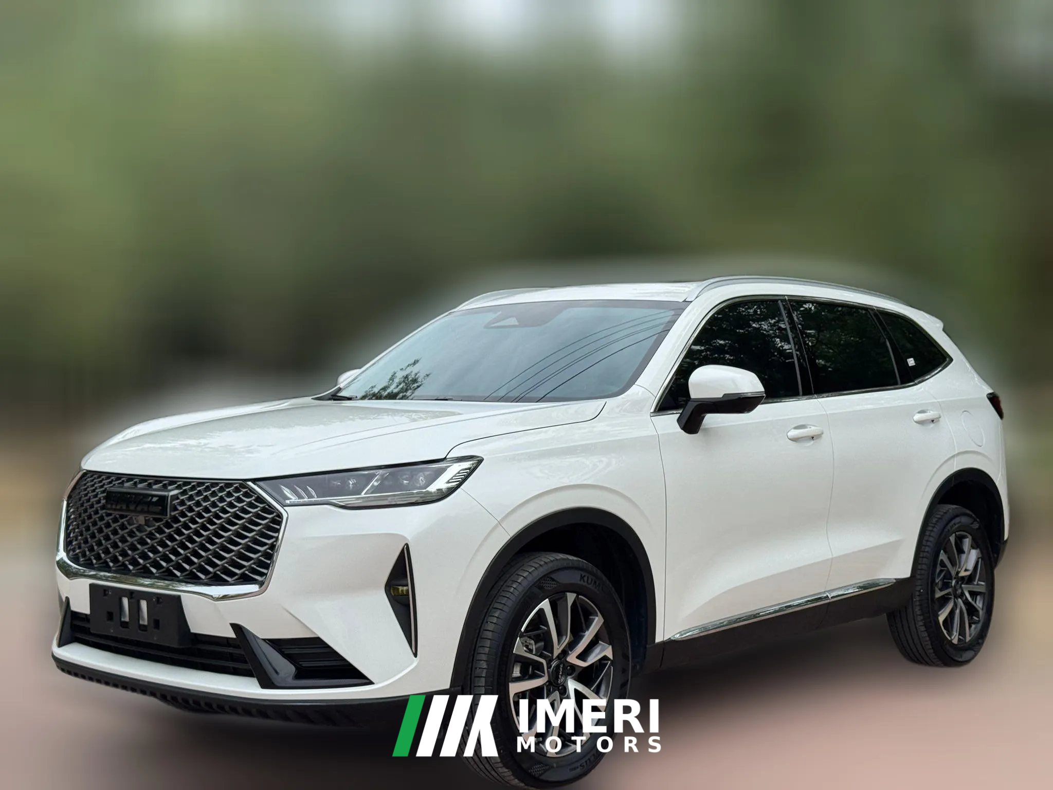 2025 Haval H6 2024 1.5T AT 2WDClassic