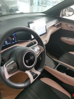 2025 BYD Seagull 2025 305km vitalityEdition #9