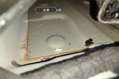 Right Rear Carpet