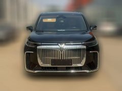2022 Voyah Dreamer 2022 low carbonEdition Dream+SmartBag #2