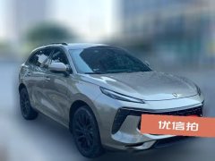 2021 Dongfeng Fengxing Fengxing T5 Evo 2021 1.5T AT DCTdiamondEdition #7