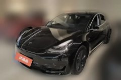 2020 Tesla Model 3 2020 StandardBattery lifeRWDUpgradeEdition #1