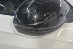 Right Exterior Mirror