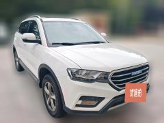 2016 Haval H6 Coupe 2016 Blue Label 1.5T AT 2WDElite #3