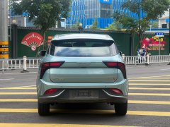 2022 Neta V 2022 tide 300 Lite LFP #5