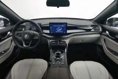 2024 BYD Qin Plus 2024 Glory 1.5L AT DM-i 55KMLeading #14