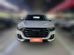 2022 Haval H6 2021 1.5T AT China tideChampion #2