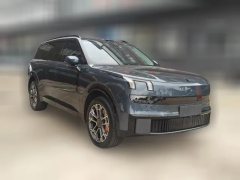 2025 Lynk & Co Lynk & Co 900 2025 2.0T Ultra #3
